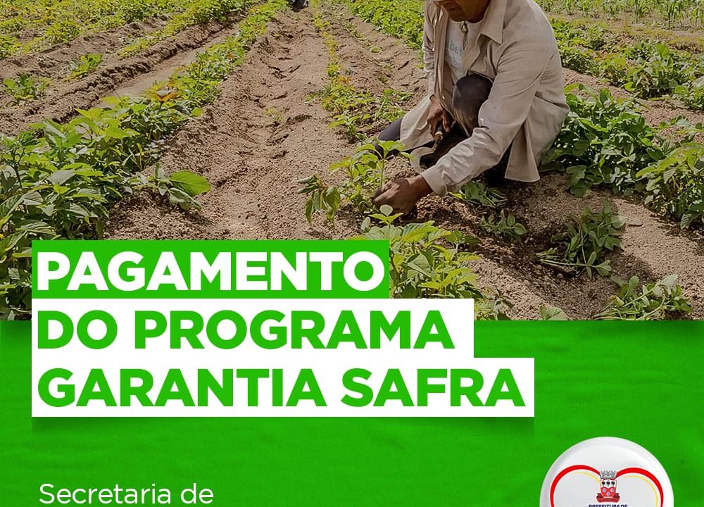 Garanhuns Prefeitura Realiza Pagamento Do Programa Garantia Safra