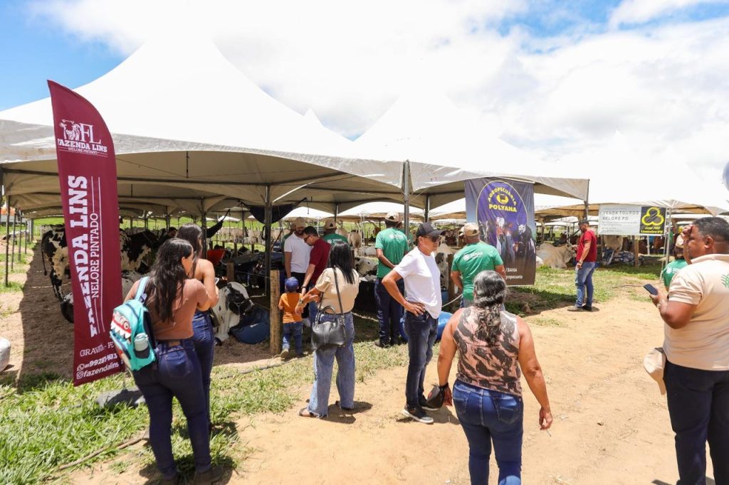 Imagem sem descri&ccedil;&atilde;o