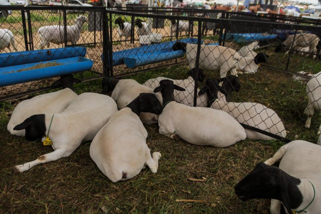 Imagem sem descri&ccedil;&atilde;o