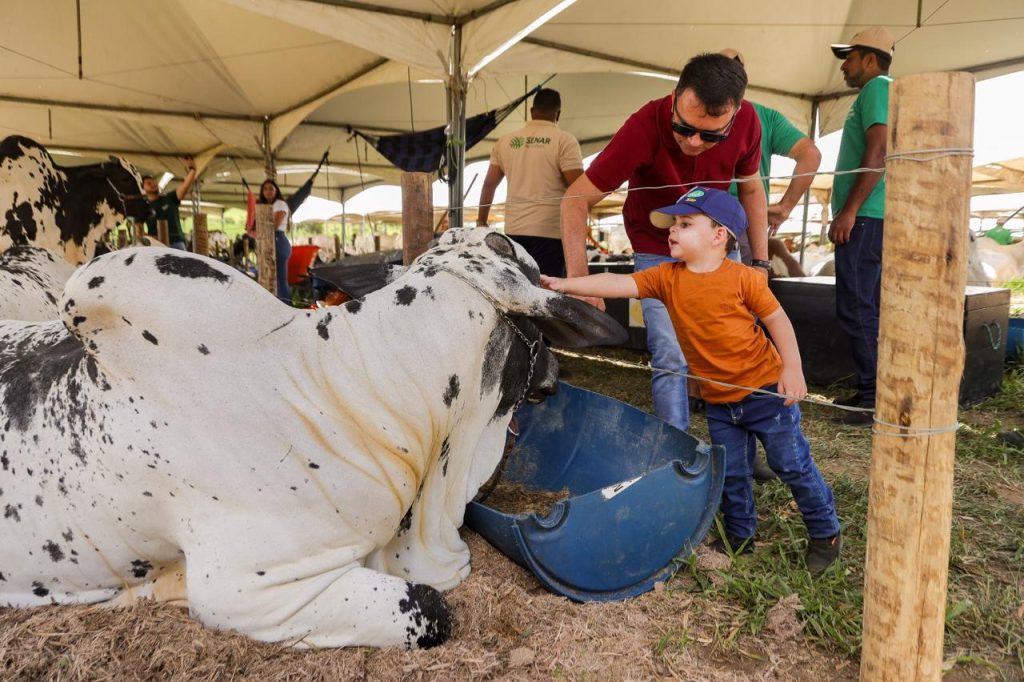 Imagem sem descri&ccedil;&atilde;o