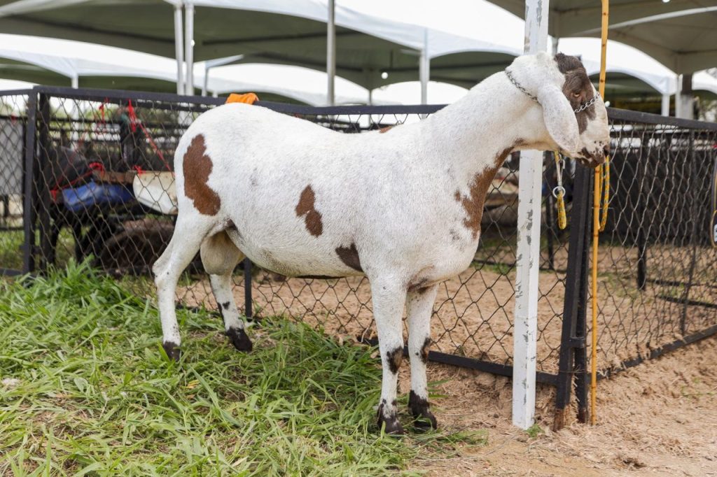 Imagem sem descri&ccedil;&atilde;o